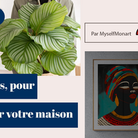 plante vert et tableau femme africaine pour salon