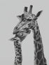 Illustration monochrome de girafes capturant la tendresse familiale, parfait pour un salon moderne