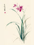 Peinture florale orientale à l'encre avec orchidées roses, style zen et minimaliste