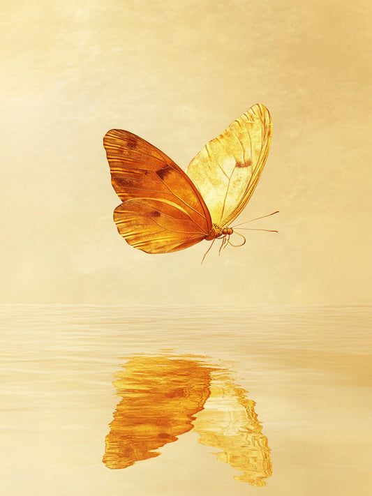 Illustration d’un papillon aux ailes dorées volant au-dessus d’une surface d’eau, créant un reflet délicat. Le fond beige met en valeur la luminosité du papillon et sa légèreté.