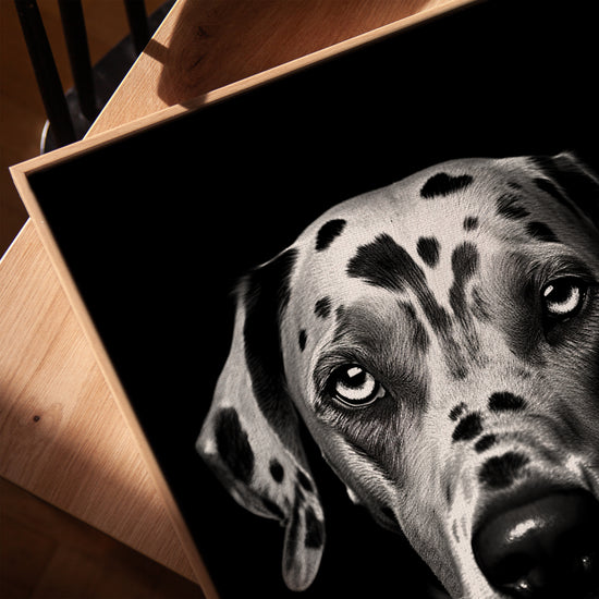 Dalmatien noir et blanc tableau pour bureau minimaliste