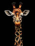 Tableau girafe