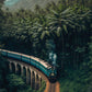 Traversé d'un train, Feuillage dense et luxuriant d'une jungle tropicale en tableau