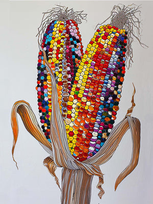 Tableau représentant deux épis de maïs aux grains multicolores vifs : jaune, rouge, violet, orange, rose, bleu. Les grains sont dessinés avec un effet de relief brillant. Les feuilles sèches, détaillées en traits bruns et beiges, entourent la base. Le fond blanc uni met en valeur les couleurs éclatantes