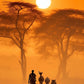 photo d'un homme et ses bêtes sous un coucher de soleil africain, une invitation au voyage.