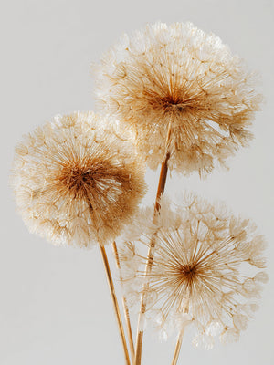 Tableau décoratif de pissenlits dorés sur fond blanc, ambiance naturelle et apaisante