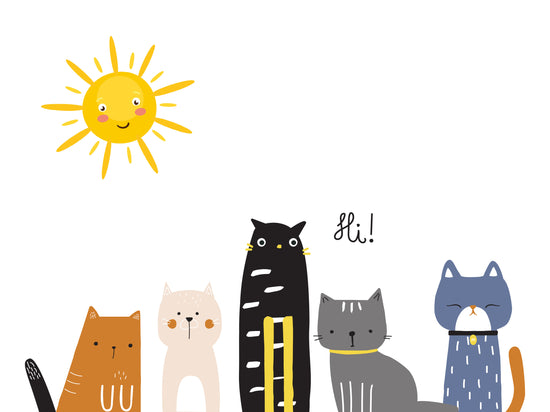 Tableau chat bebe pour chambre, 5 chats surpris, coloré et tous différent