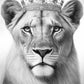 tableau avec une lionne qui porte une couronne en noir et blanc