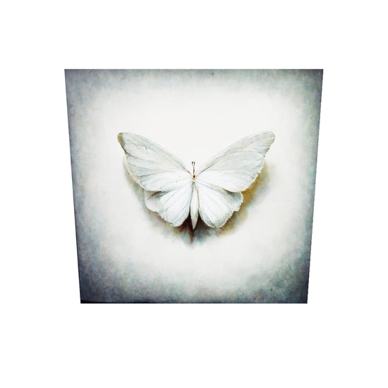 Tableau plexiglass avec un papillon blanc sur fond beige 